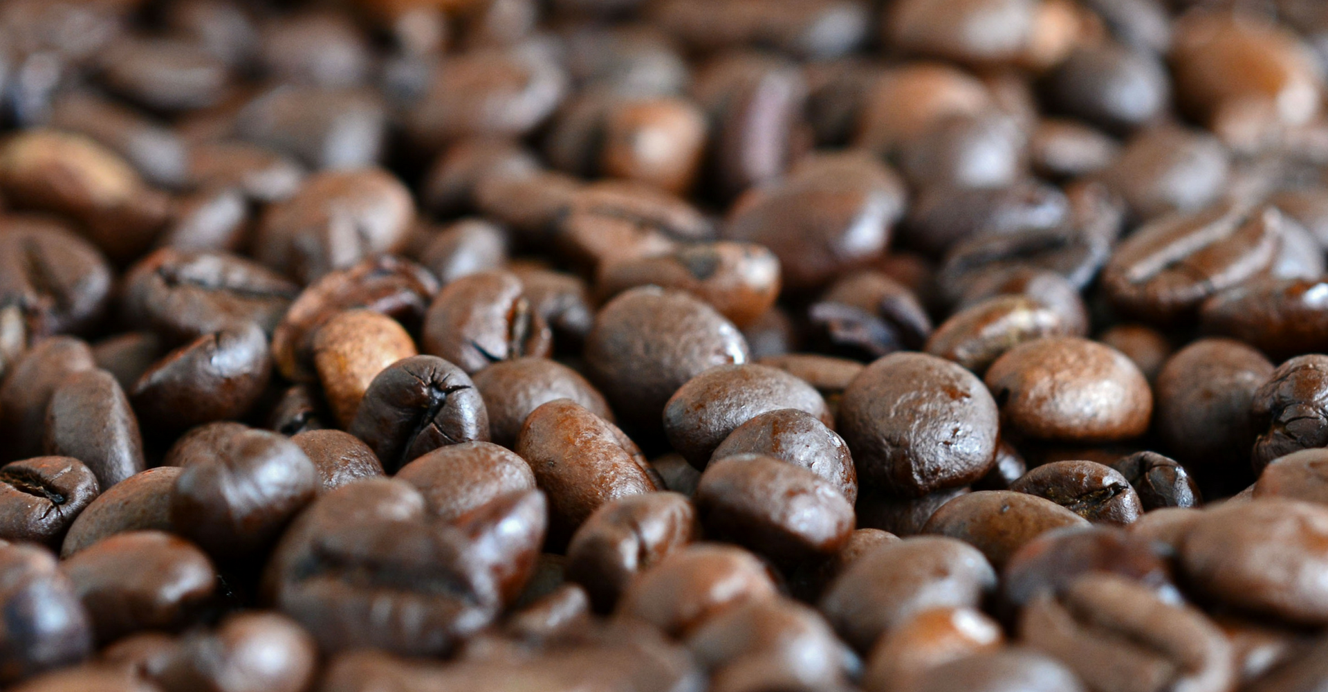 Mengulik Lebih Jauh Tentang Level Sangrai Pada Kopi