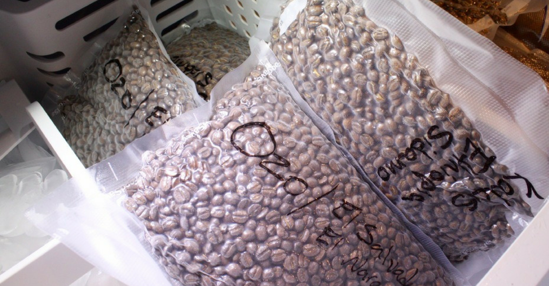 Apa Yang Bisa Anda Lakukan Ketika Punya Stok Kopi Berlebihan? Bekukan!