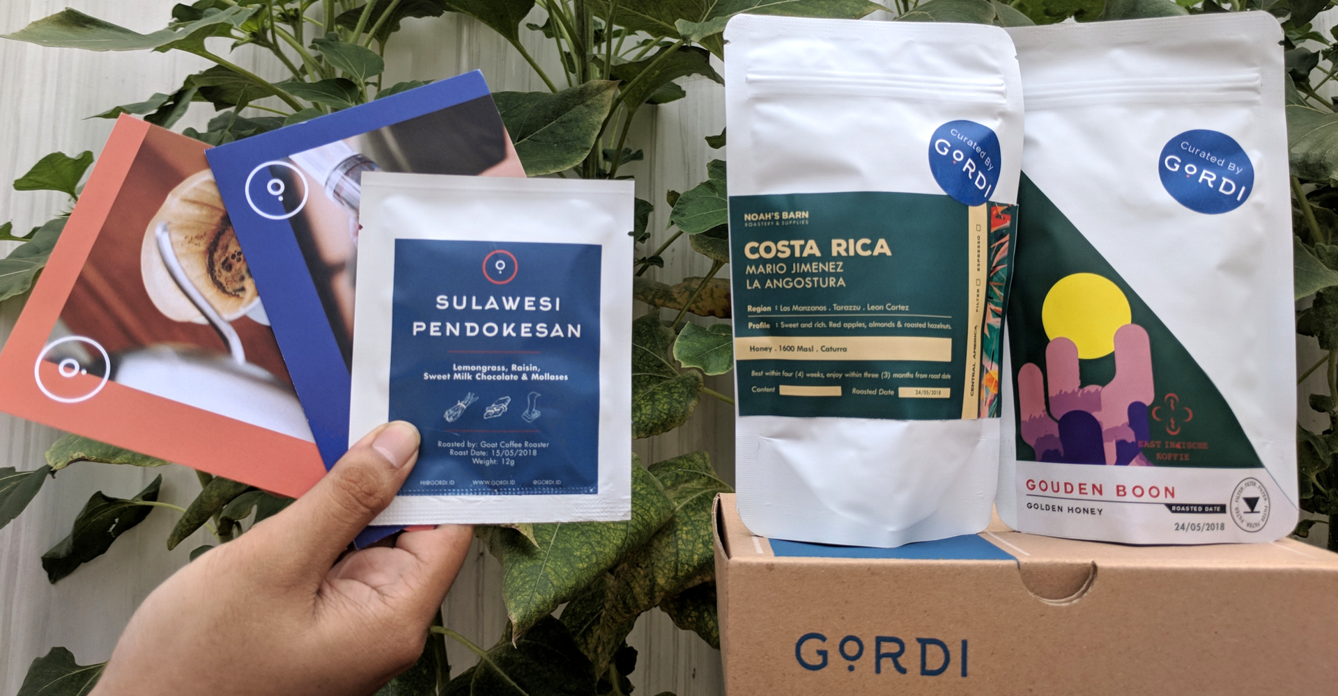 Menjelajah Rasa Antara Kopi Dengan Proses White Honey Dan Golden Honey