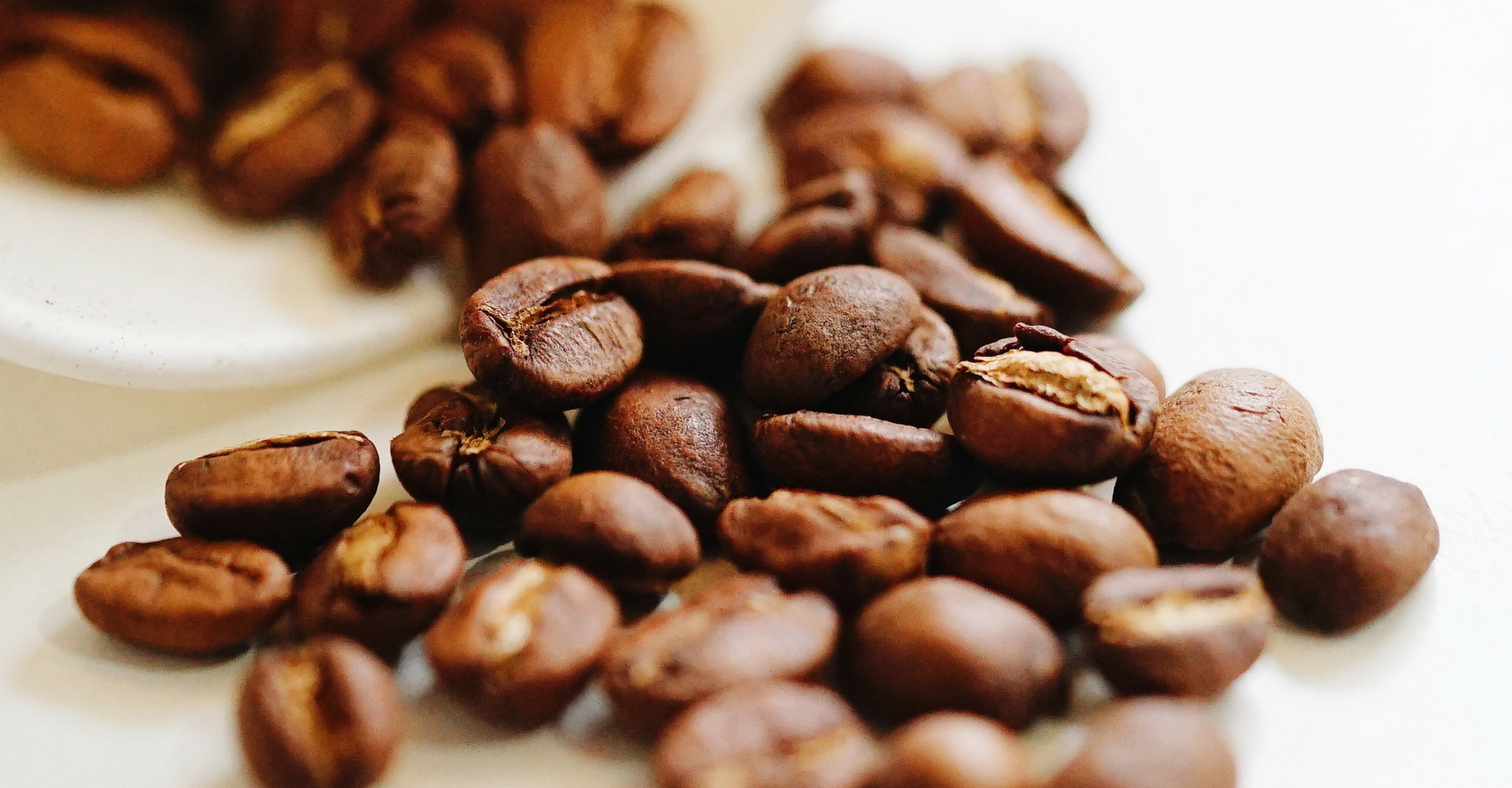 Keunikan Ragam Varietas Kopi (Bagian 1)